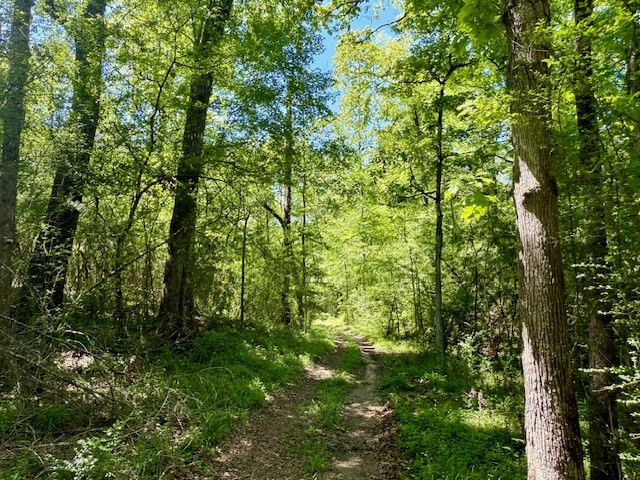 1262 Holmesville Road