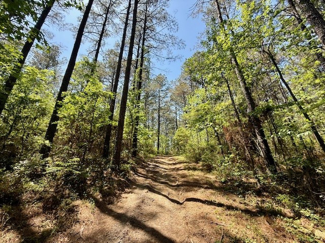 1262 Holmesville Road