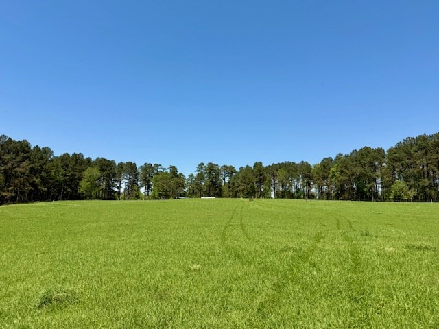 1262 Holmesville Road