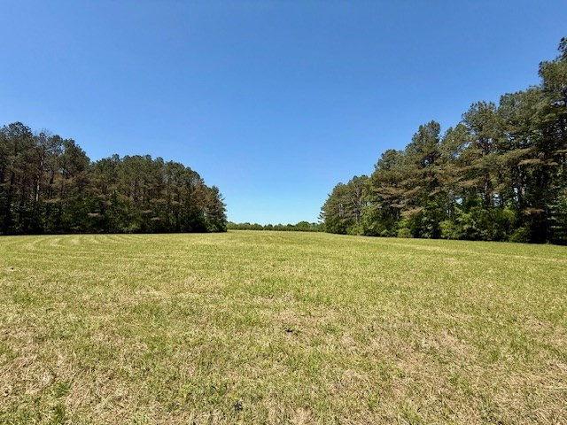 1262 Holmesville Road