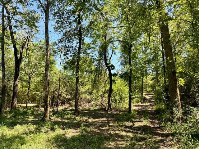 1262 Holmesville Road