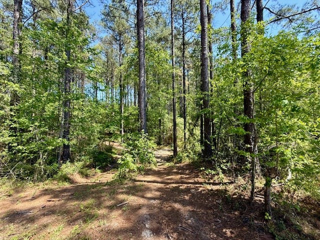 1262 Holmesville Road