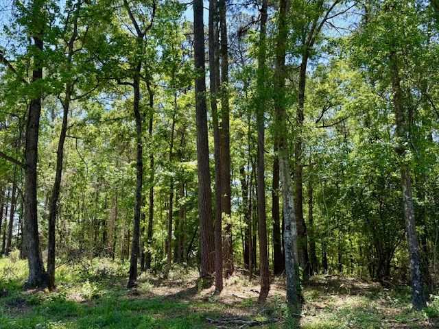 1262 Holmesville Road