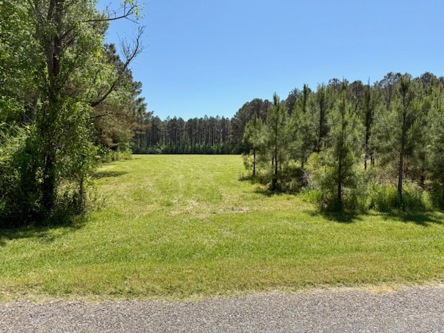 1262 Holmesville Road