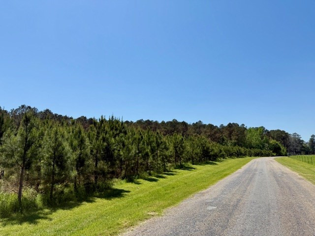 1262 Holmesville Road