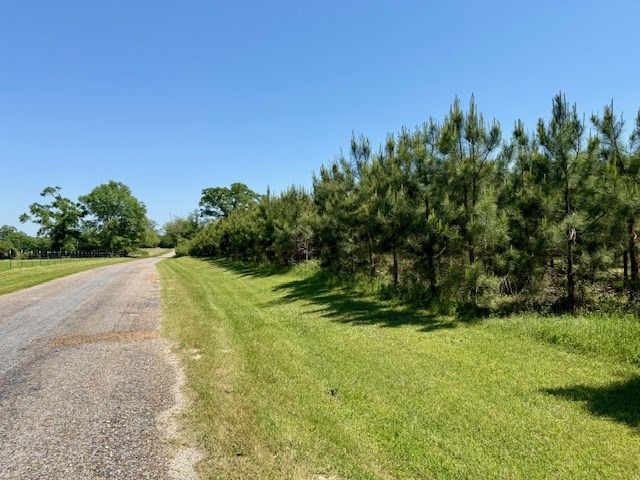 1262 Holmesville Road