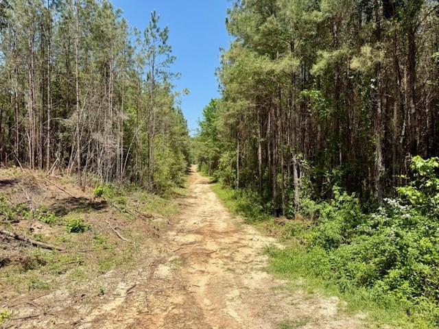 1262 Holmesville Road