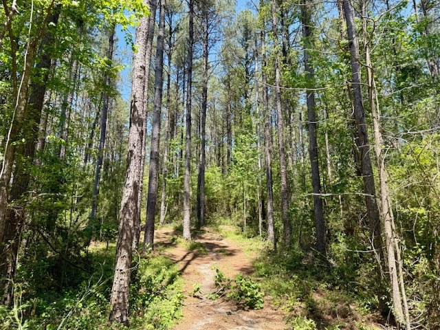 1262 Holmesville Road