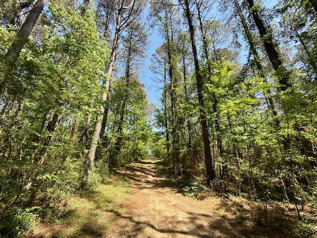 1262 Holmesville Road