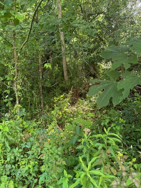 196 SW Lower Woodville Road