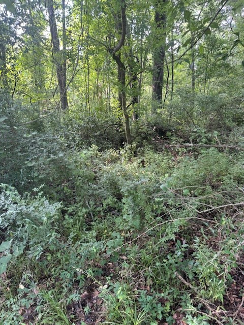 196 SW Lower Woodville Road