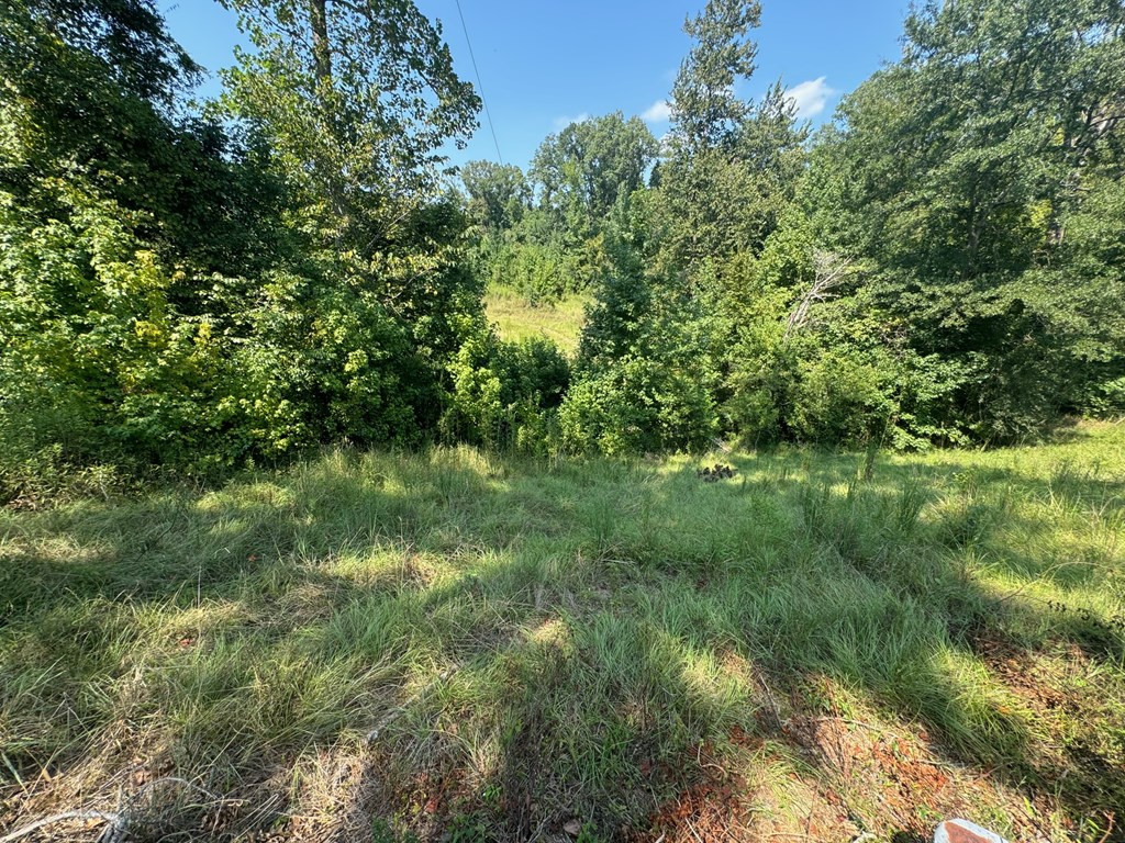 147 Albena Hills Rd Ext