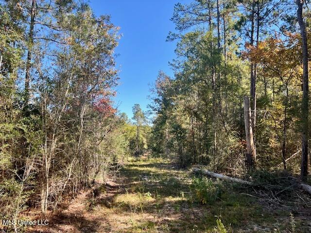 33 Watts Bennett Circle