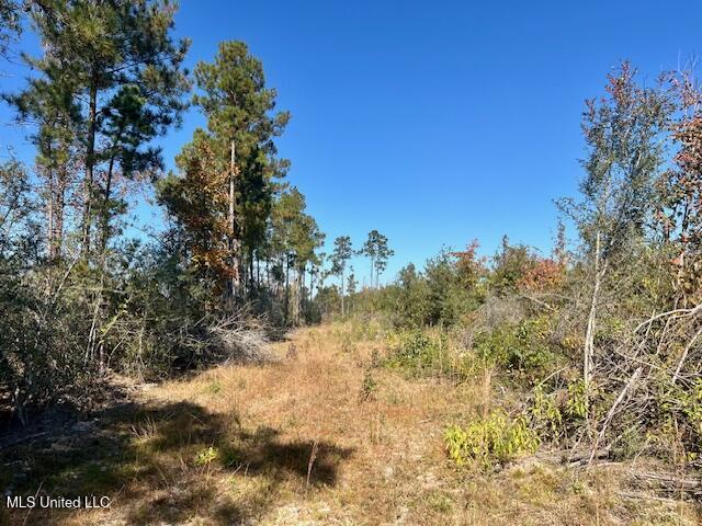 33 Watts Bennett Circle