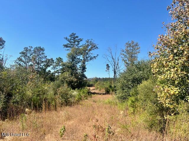 33 Watts Bennett Circle