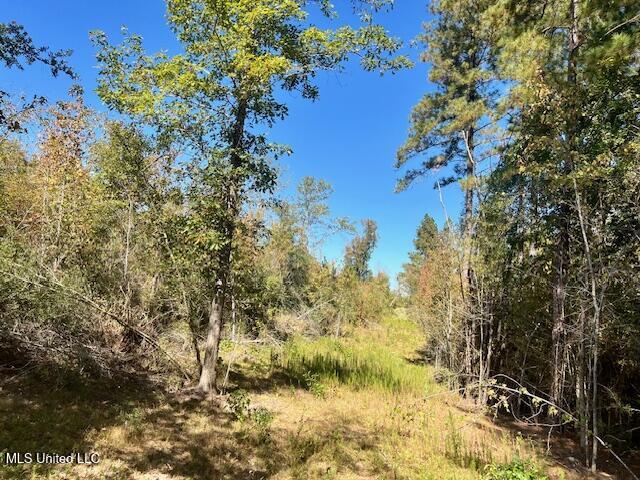 33 Watts Bennett Circle