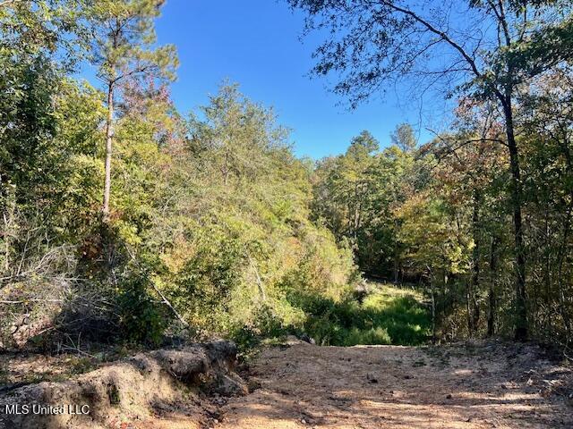 33 Watts Bennett Circle