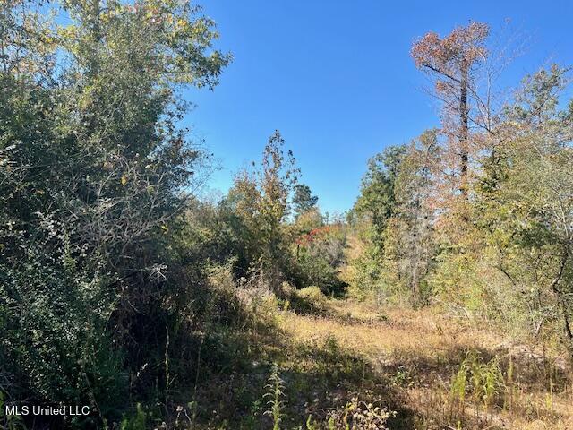 33 Watts Bennett Circle