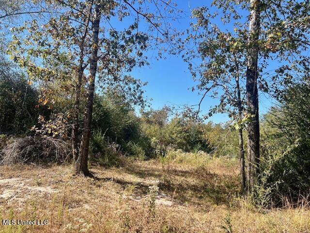 33 Watts Bennett Circle