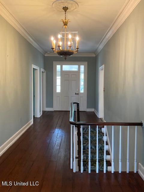 311 Jefferson Street