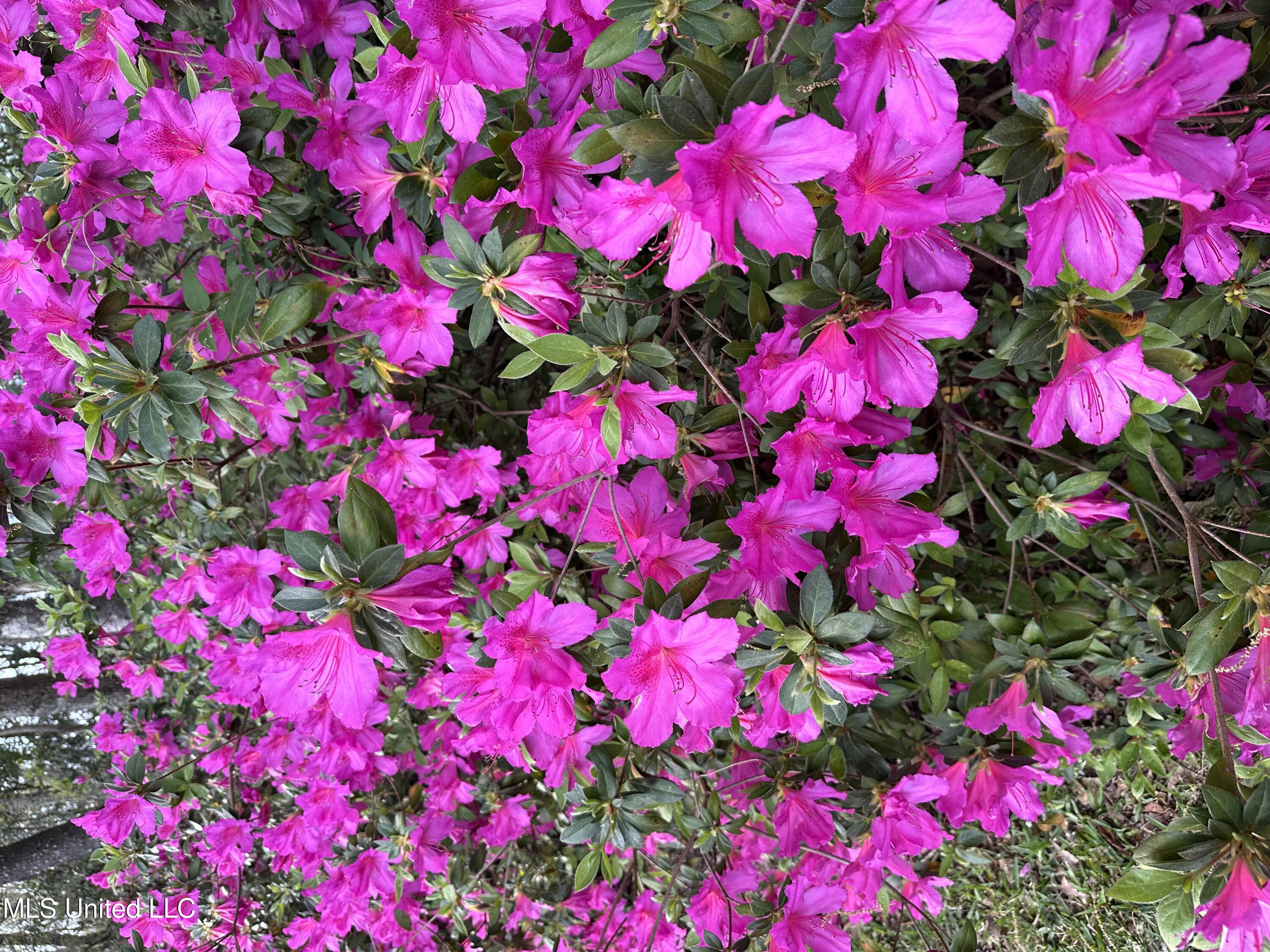 1164 Lower Woodville Road