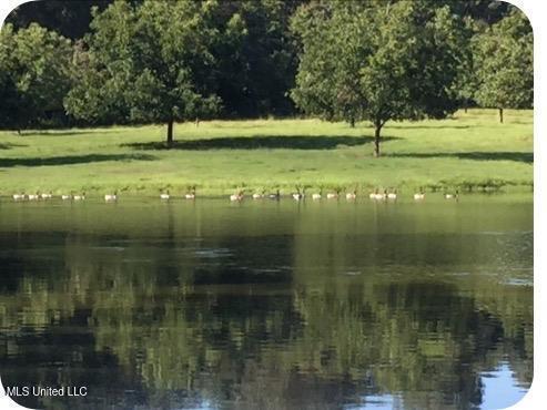 1164 Lower Woodville Road