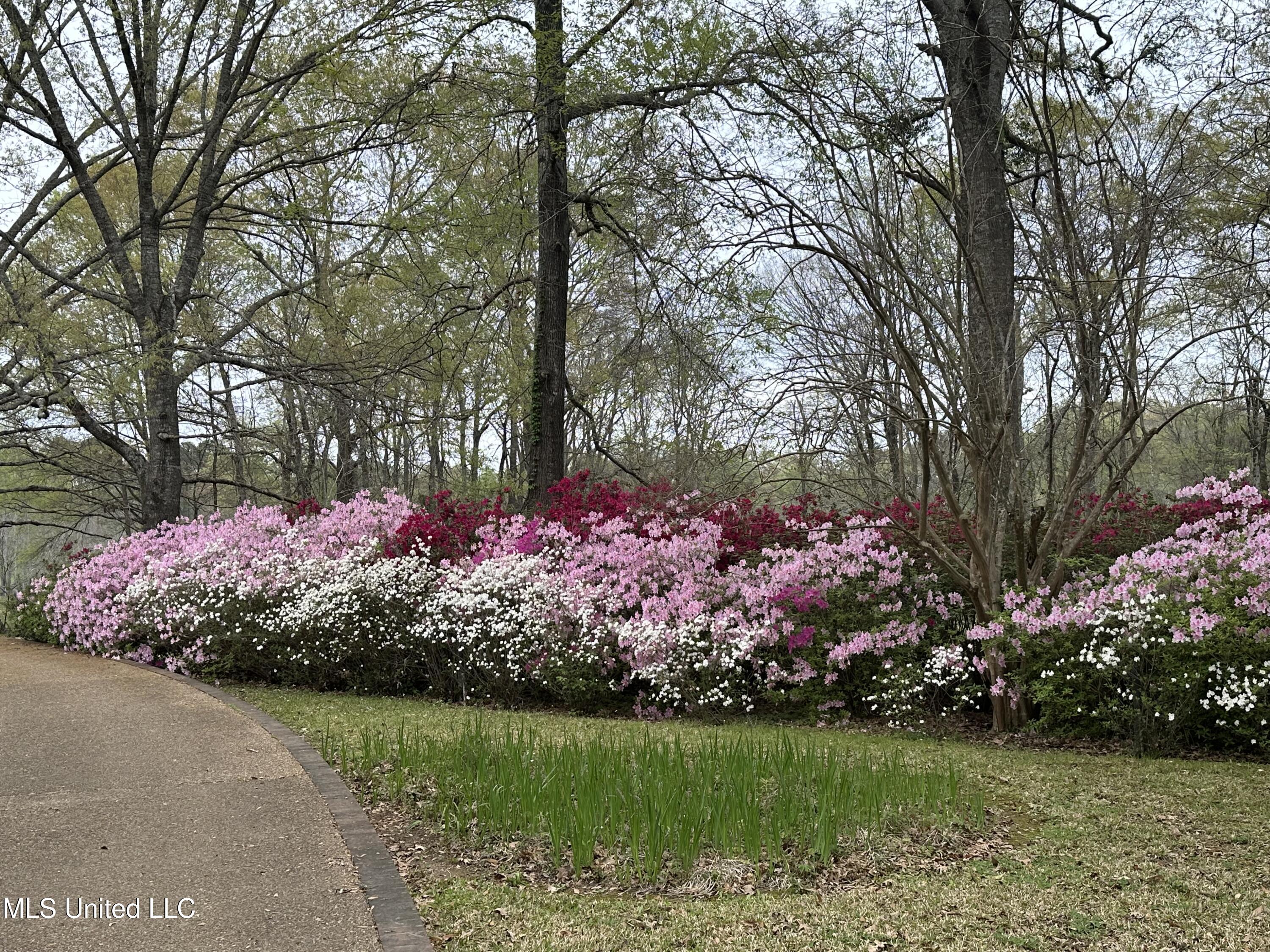 1164 Lower Woodville Road