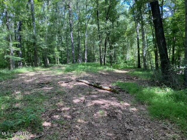 1164 Lower Woodville Road