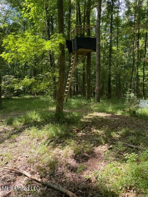 1164 Lower Woodville Road