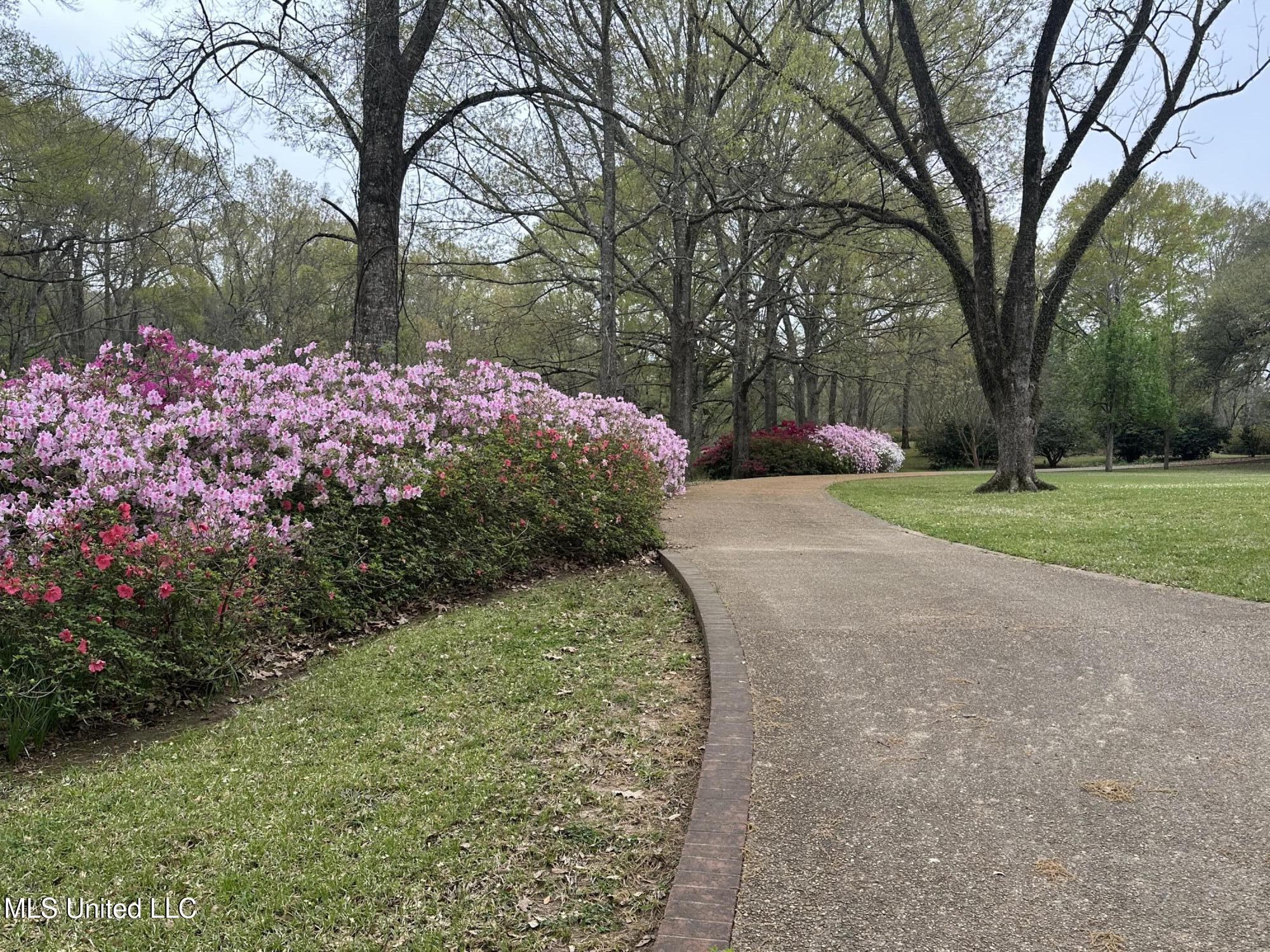 1164 Lower Woodville Road