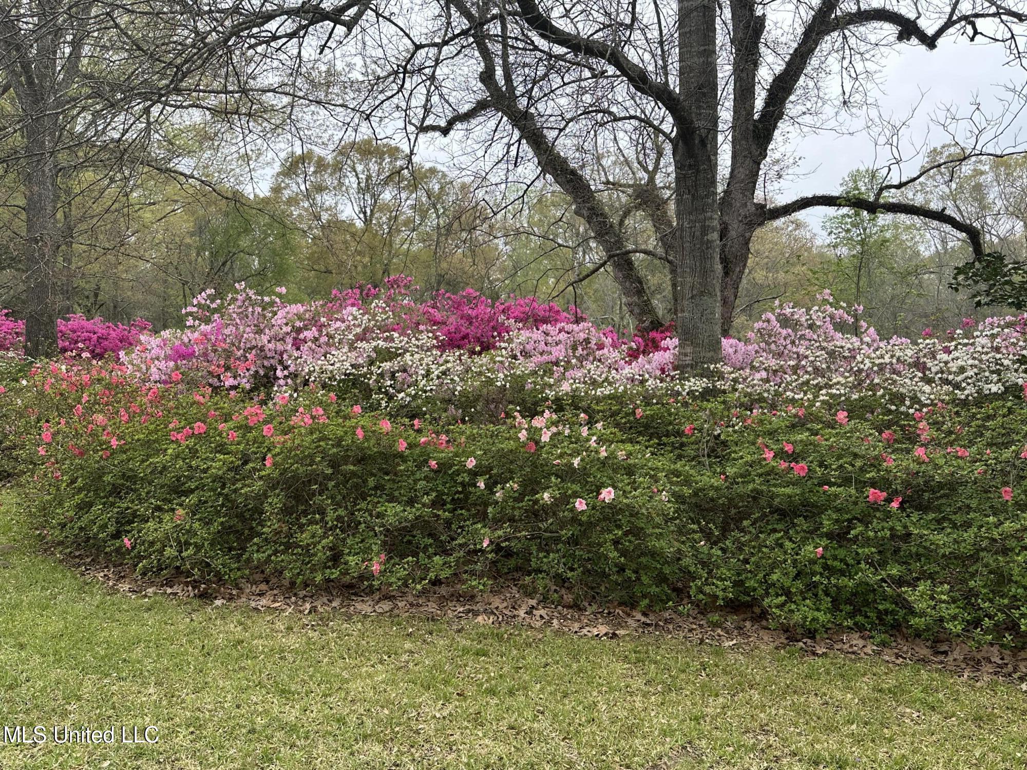 1164 Lower Woodville Road