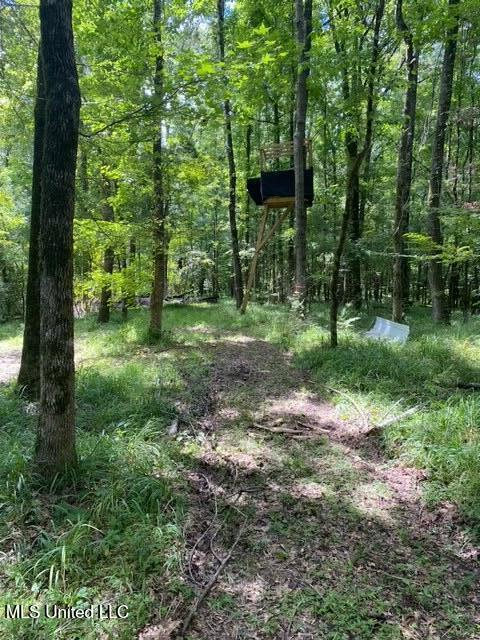 1164 Lower Woodville Road