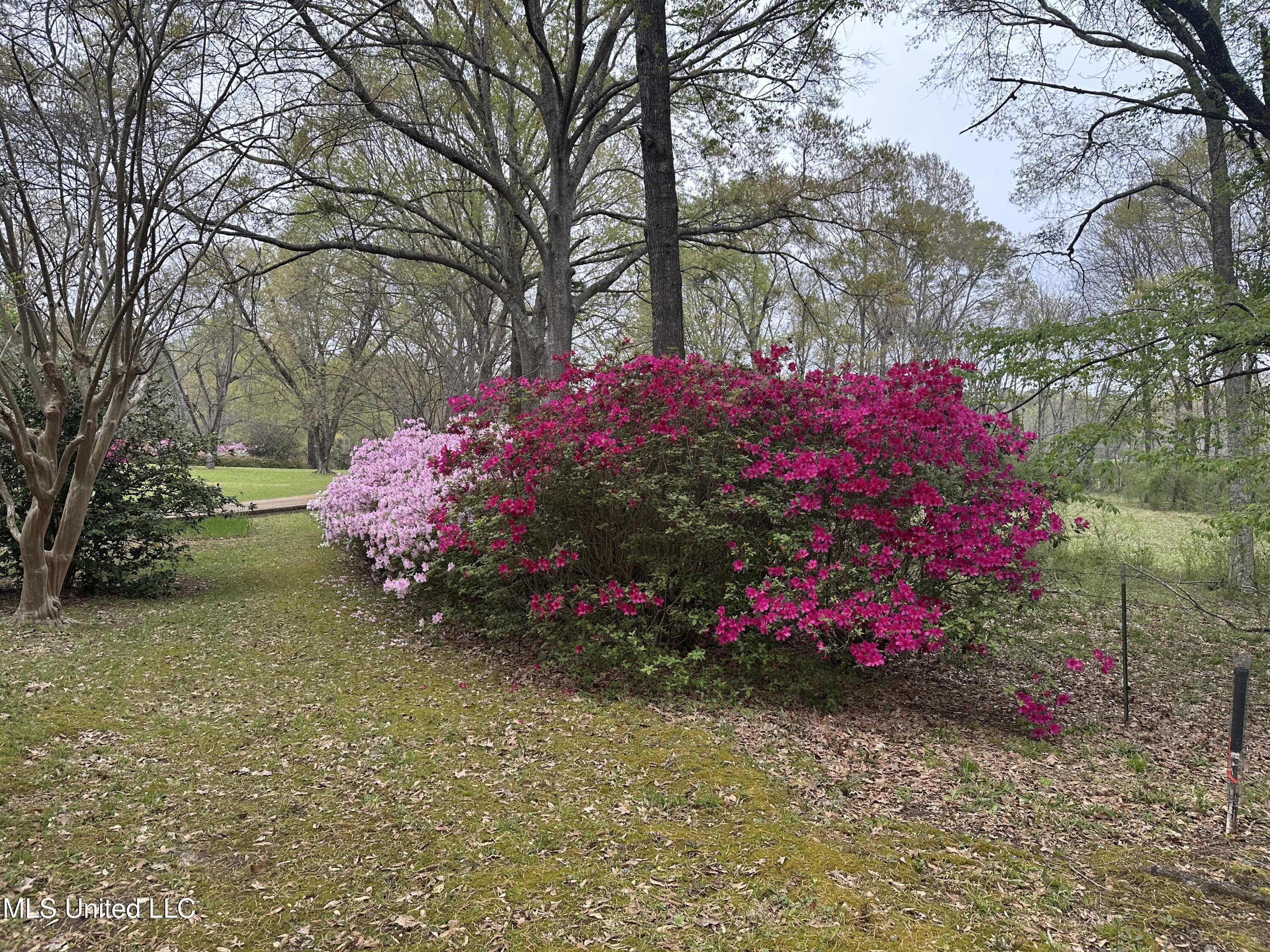 1164 Lower Woodville Road