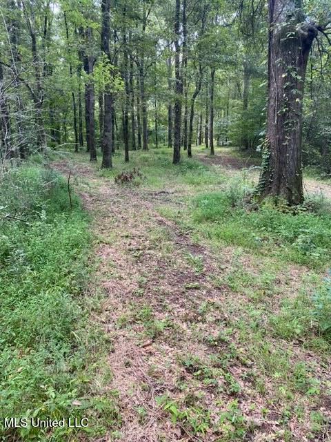 1164 Lower Woodville Road