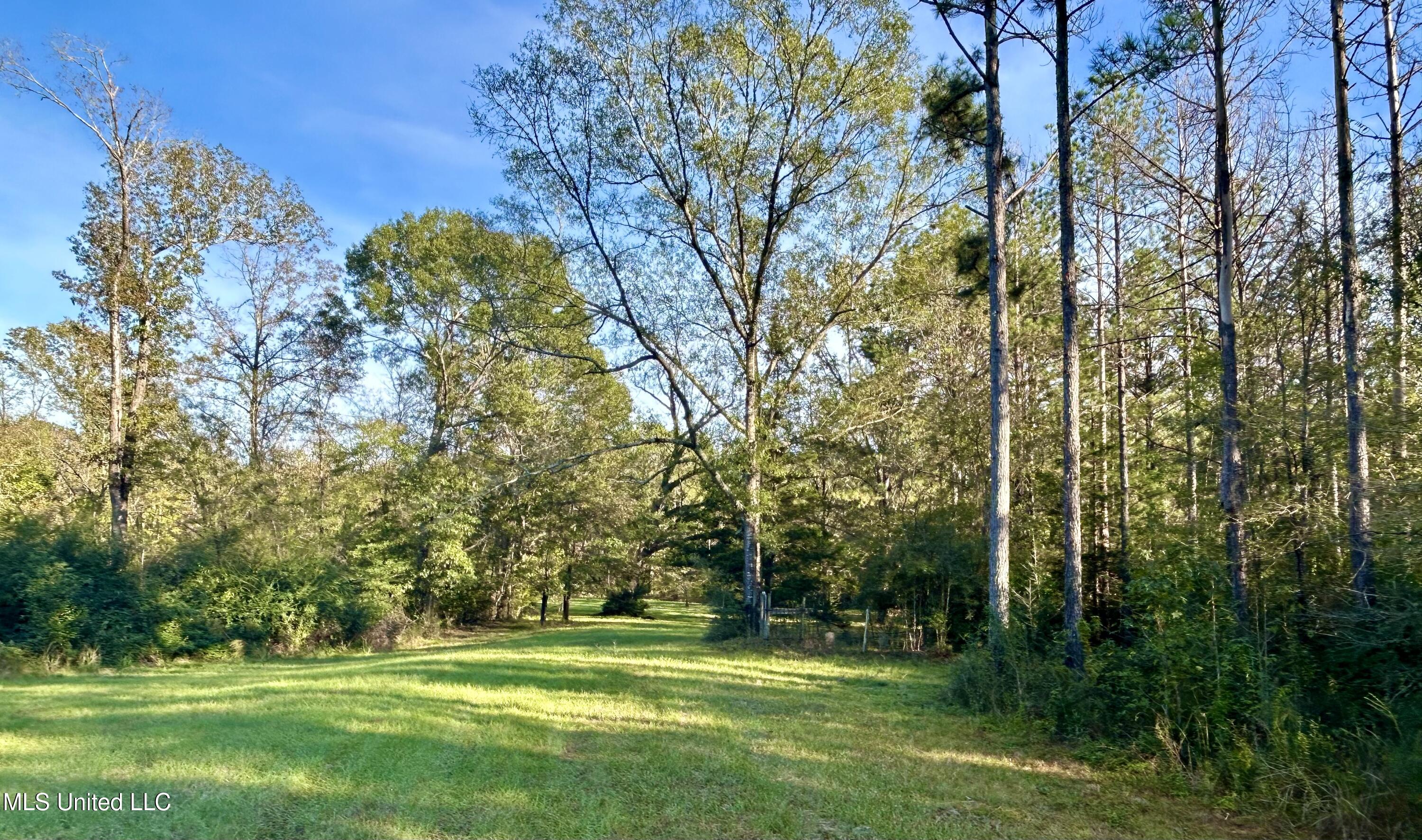 1845 Dry Fork Creek Road