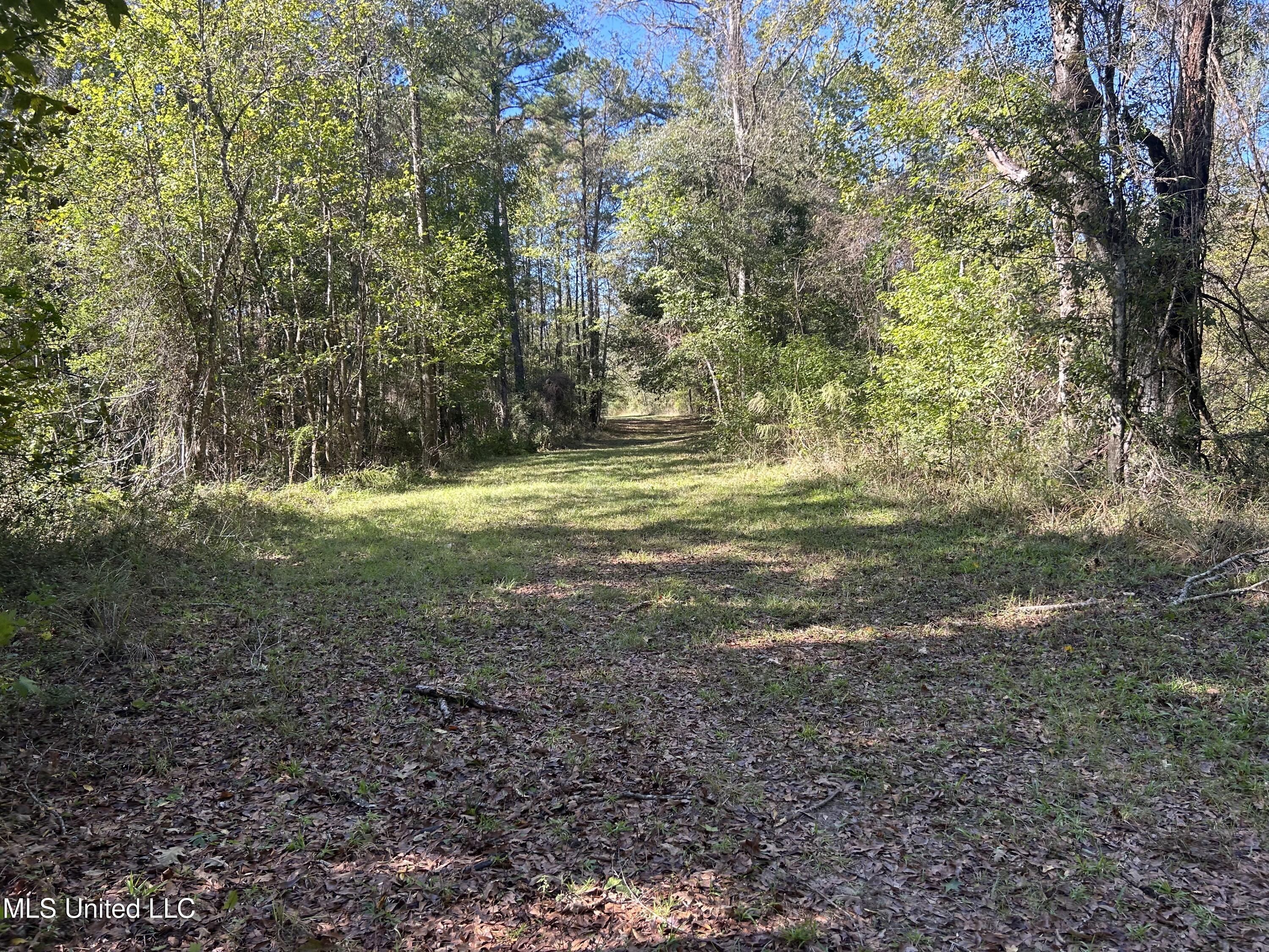 1845 Dry Fork Creek Road