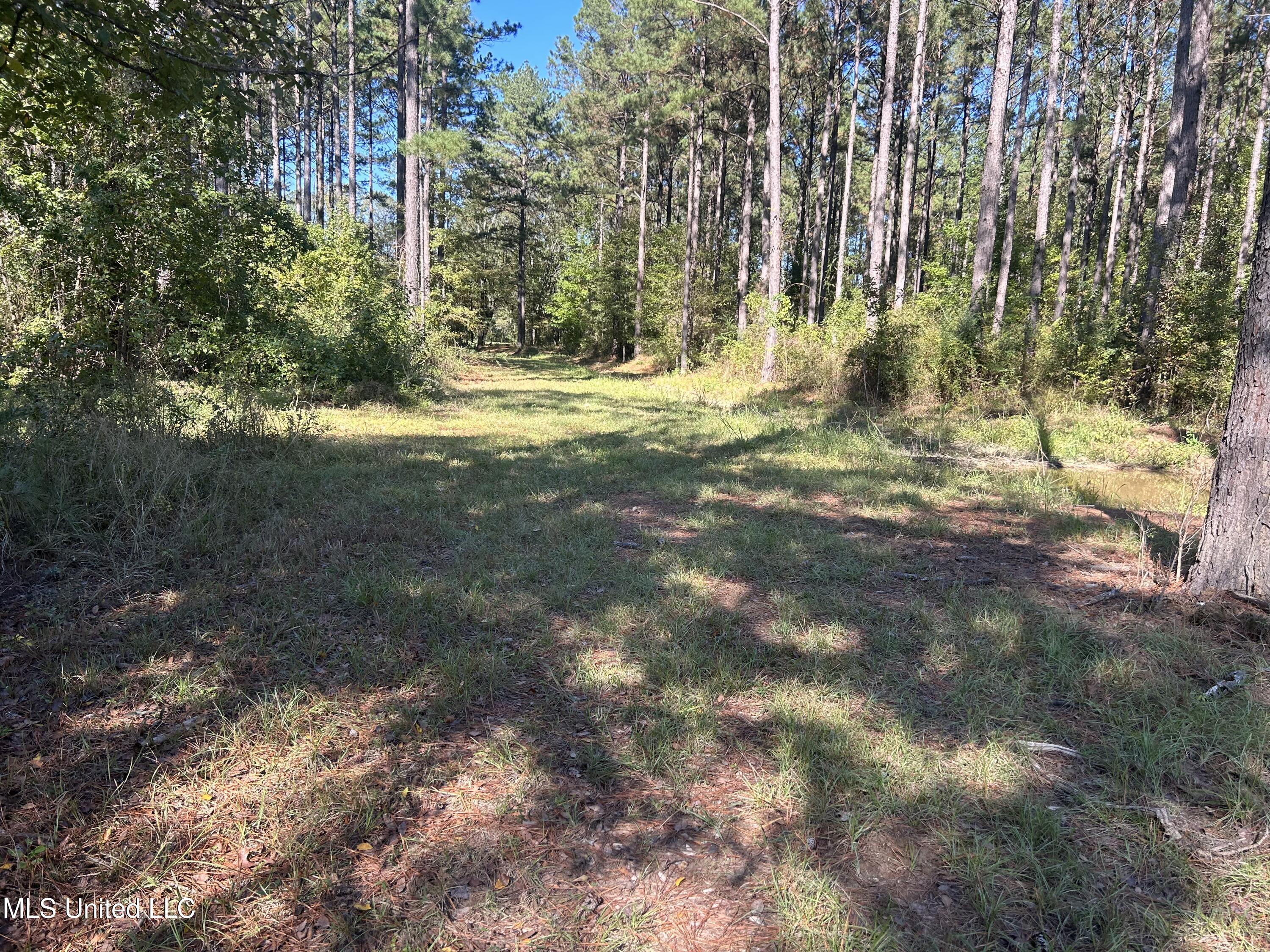 1845 Dry Fork Creek Road