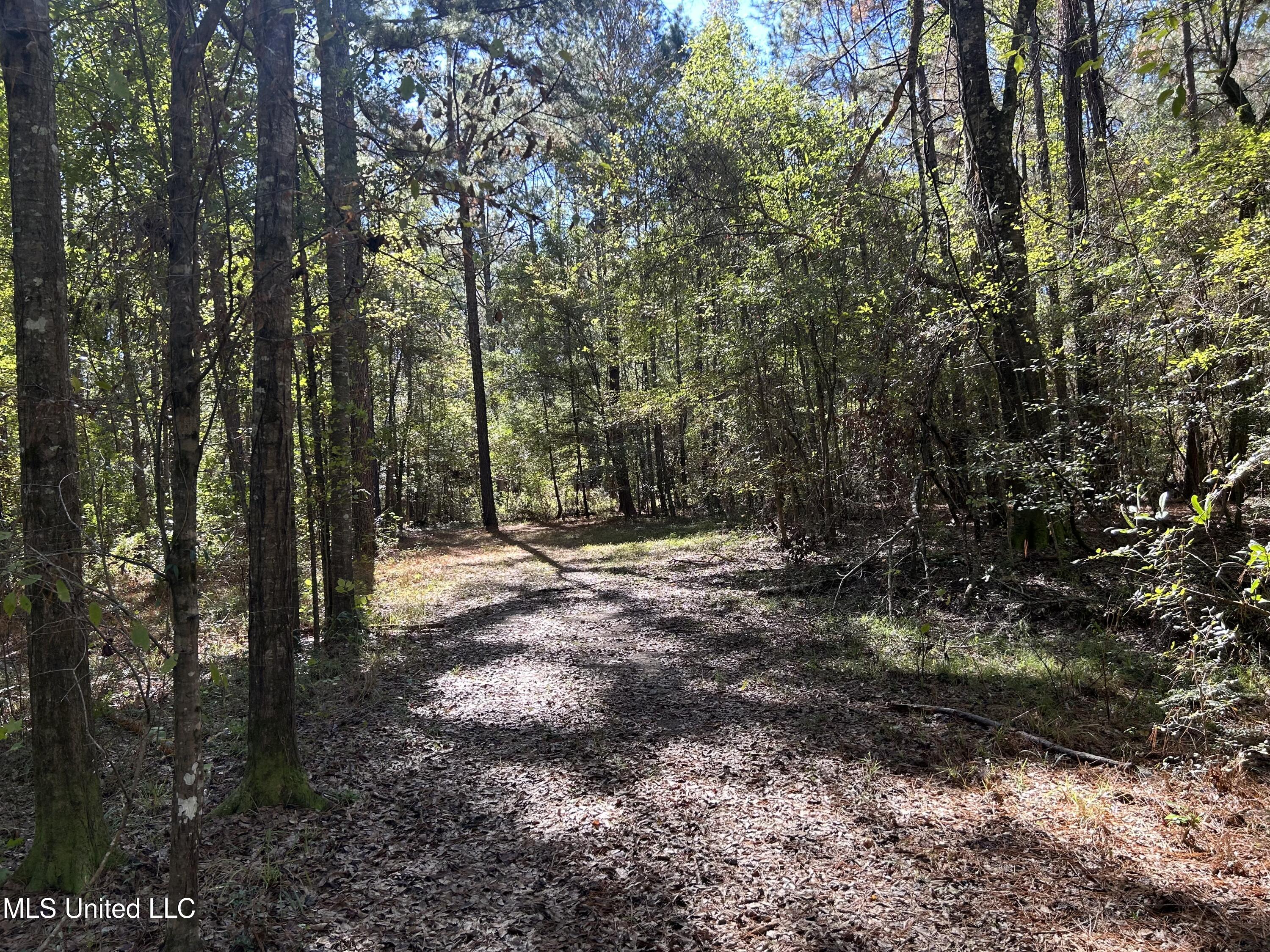 1845 Dry Fork Creek Road