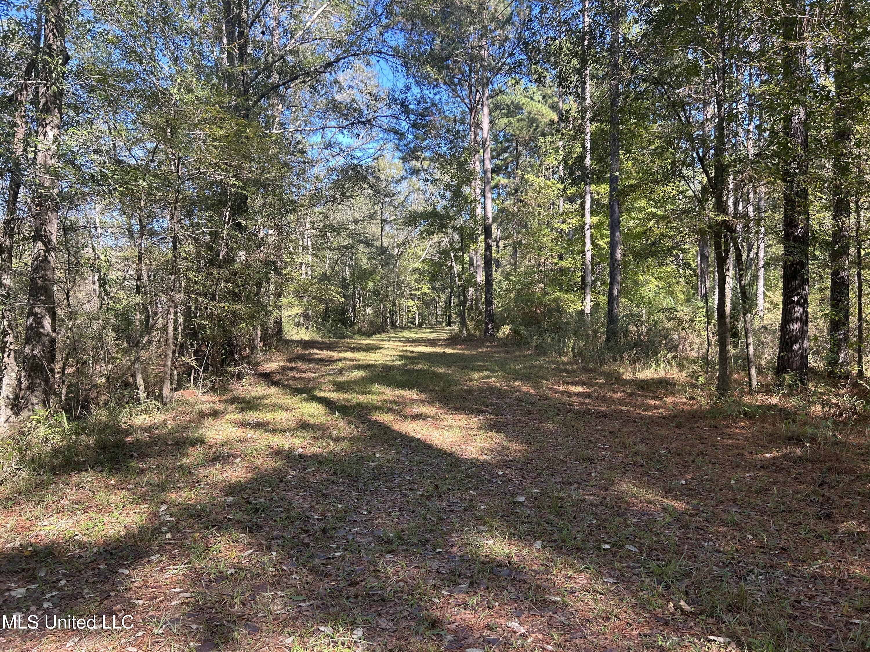 1845 Dry Fork Creek Road