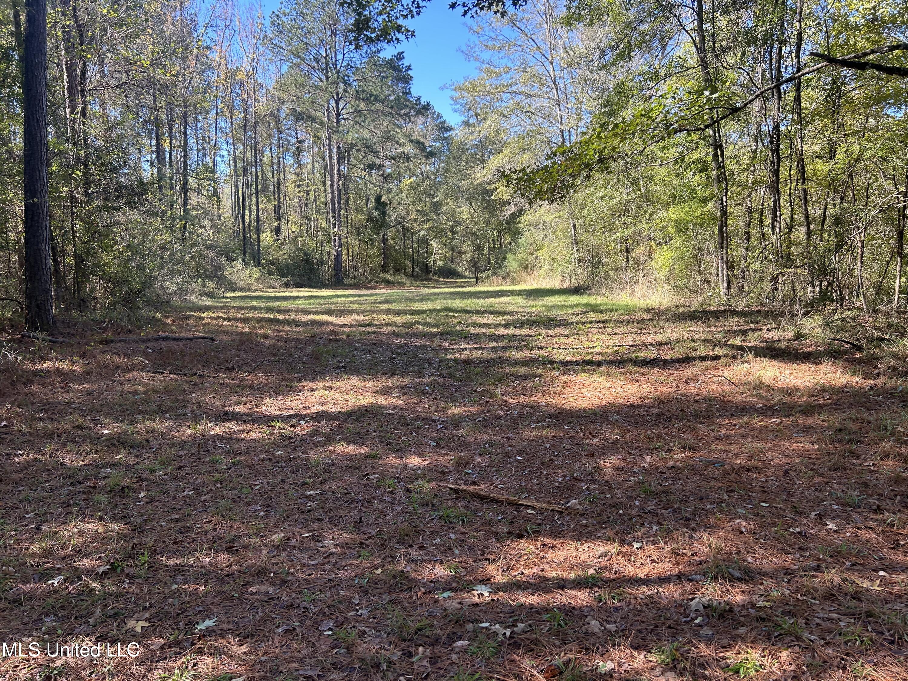 1845 Dry Fork Creek Road