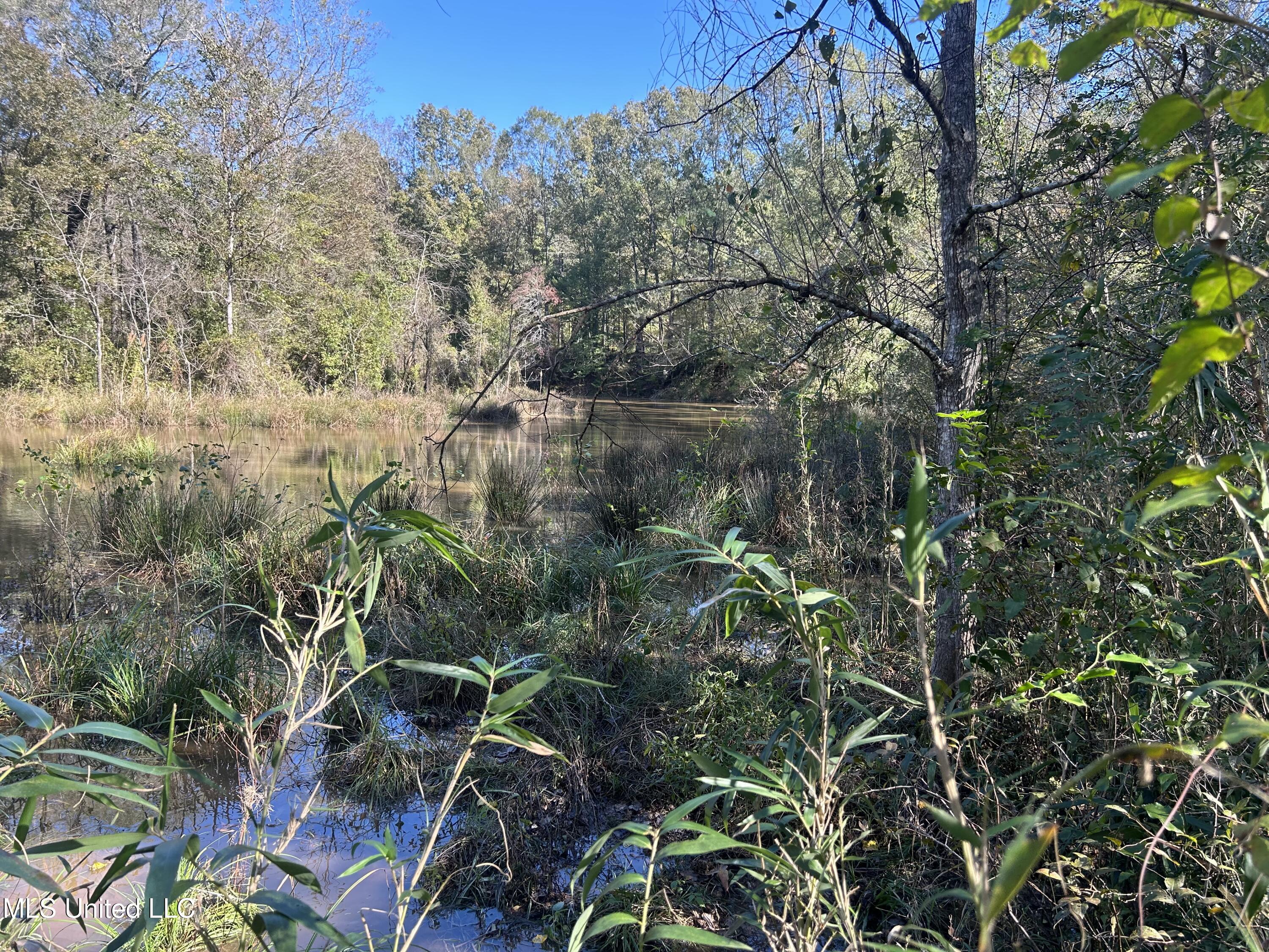 1845 Dry Fork Creek Road