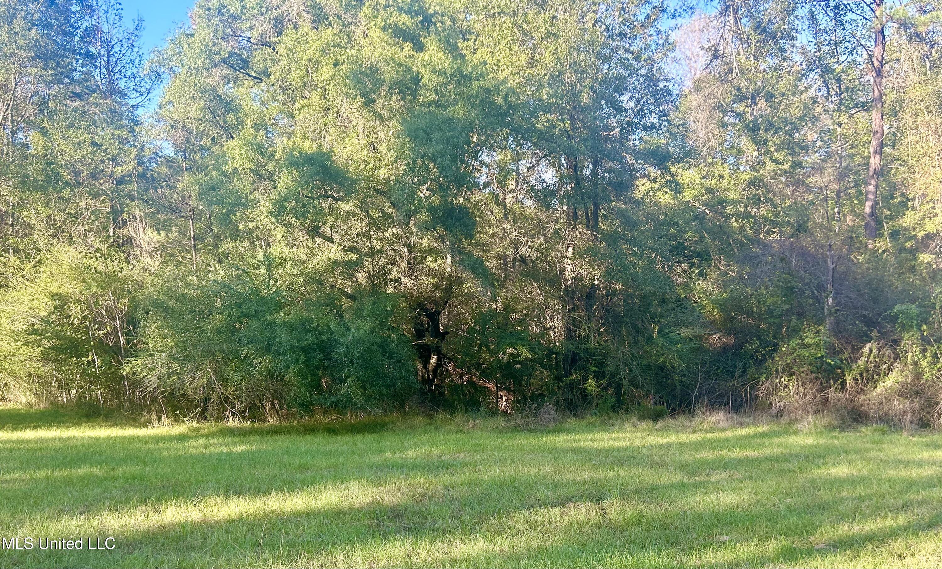 1845 Dry Fork Creek Road