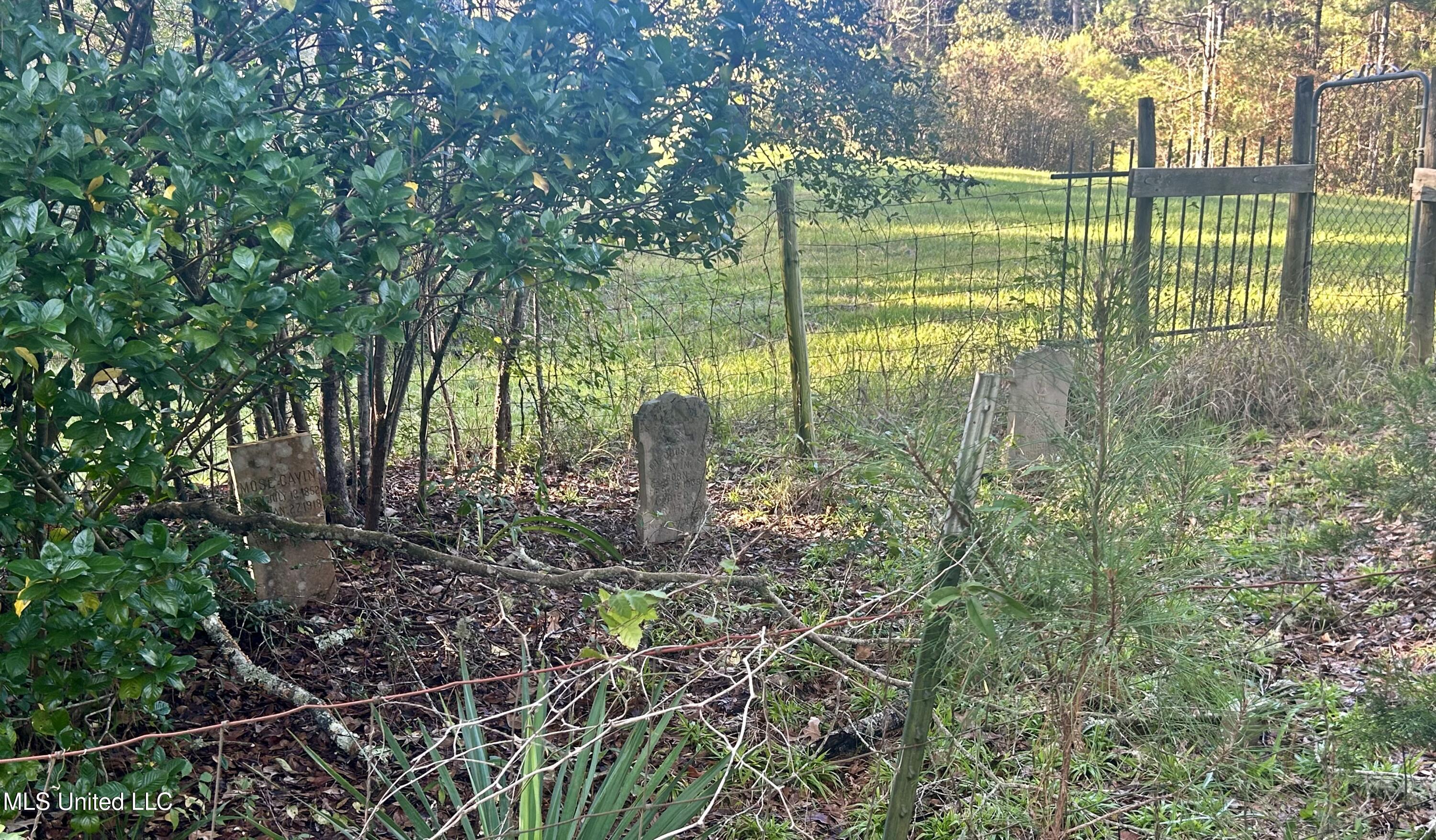 1845 Dry Fork Creek Road