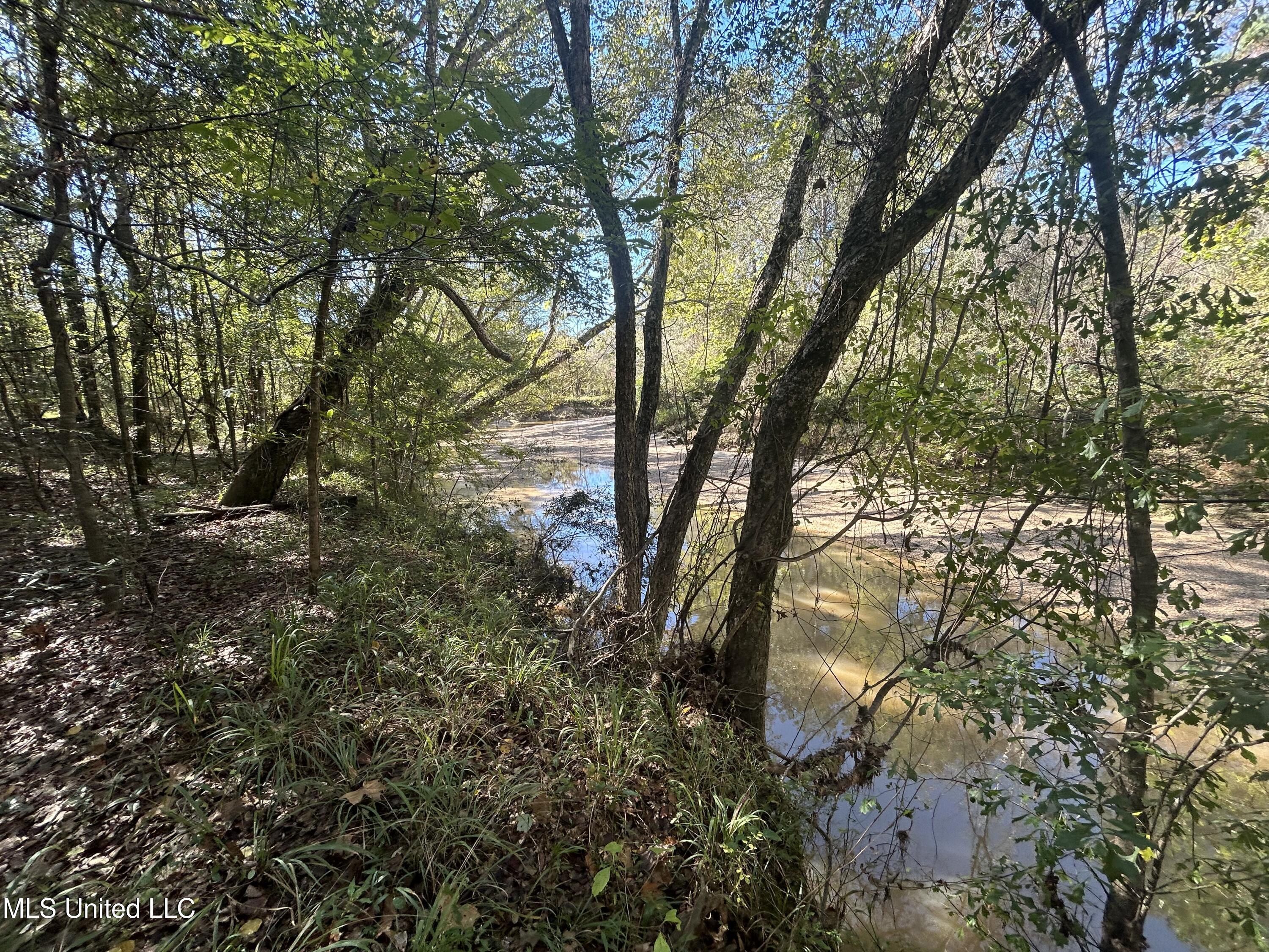 1845 Dry Fork Creek Road