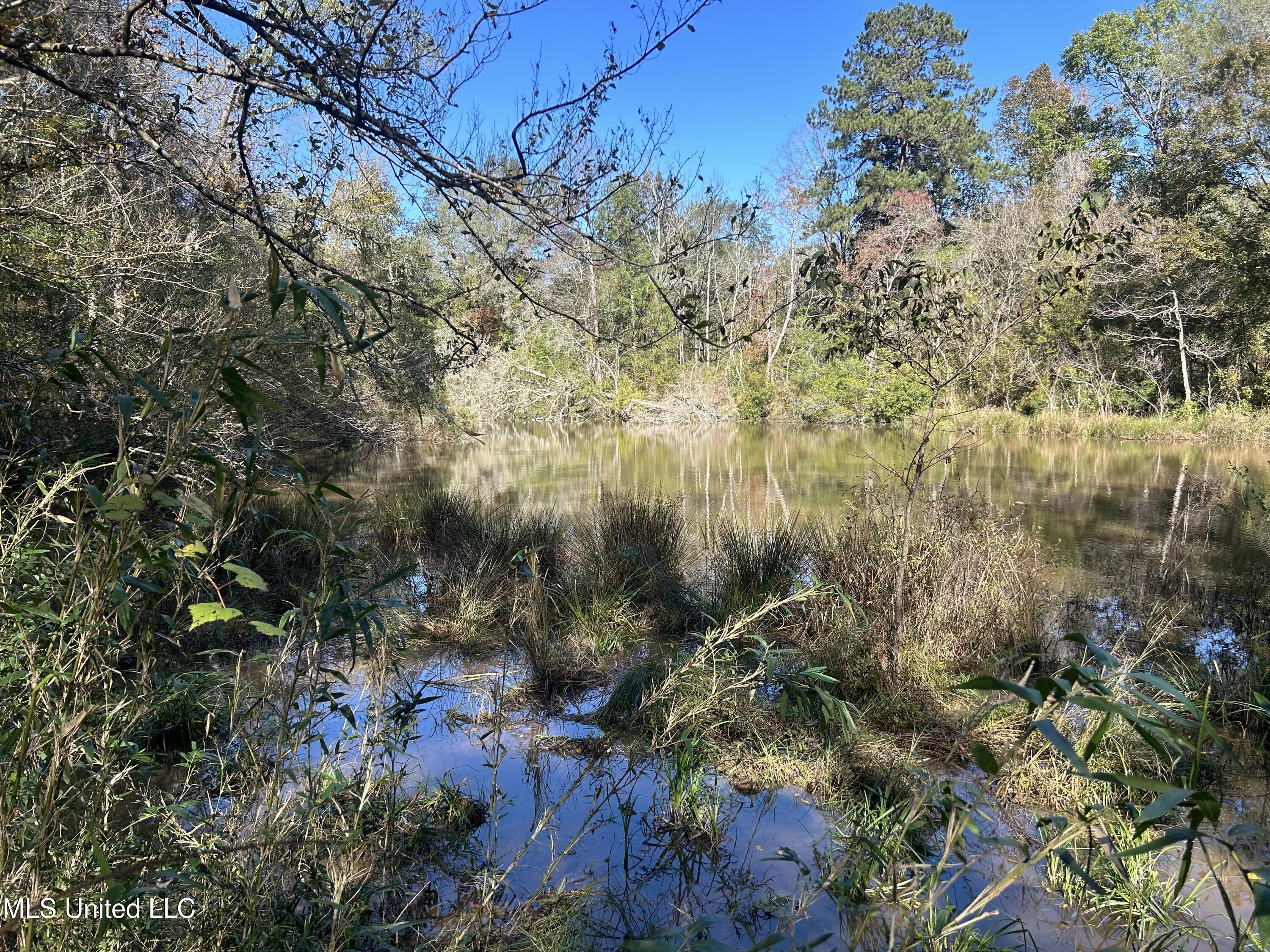 1845 Dry Fork Creek Road