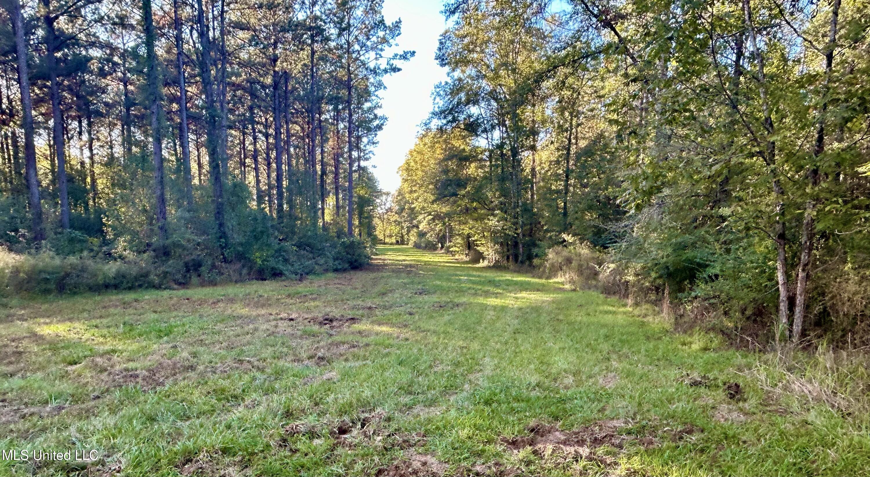 1845 Dry Fork Creek Road