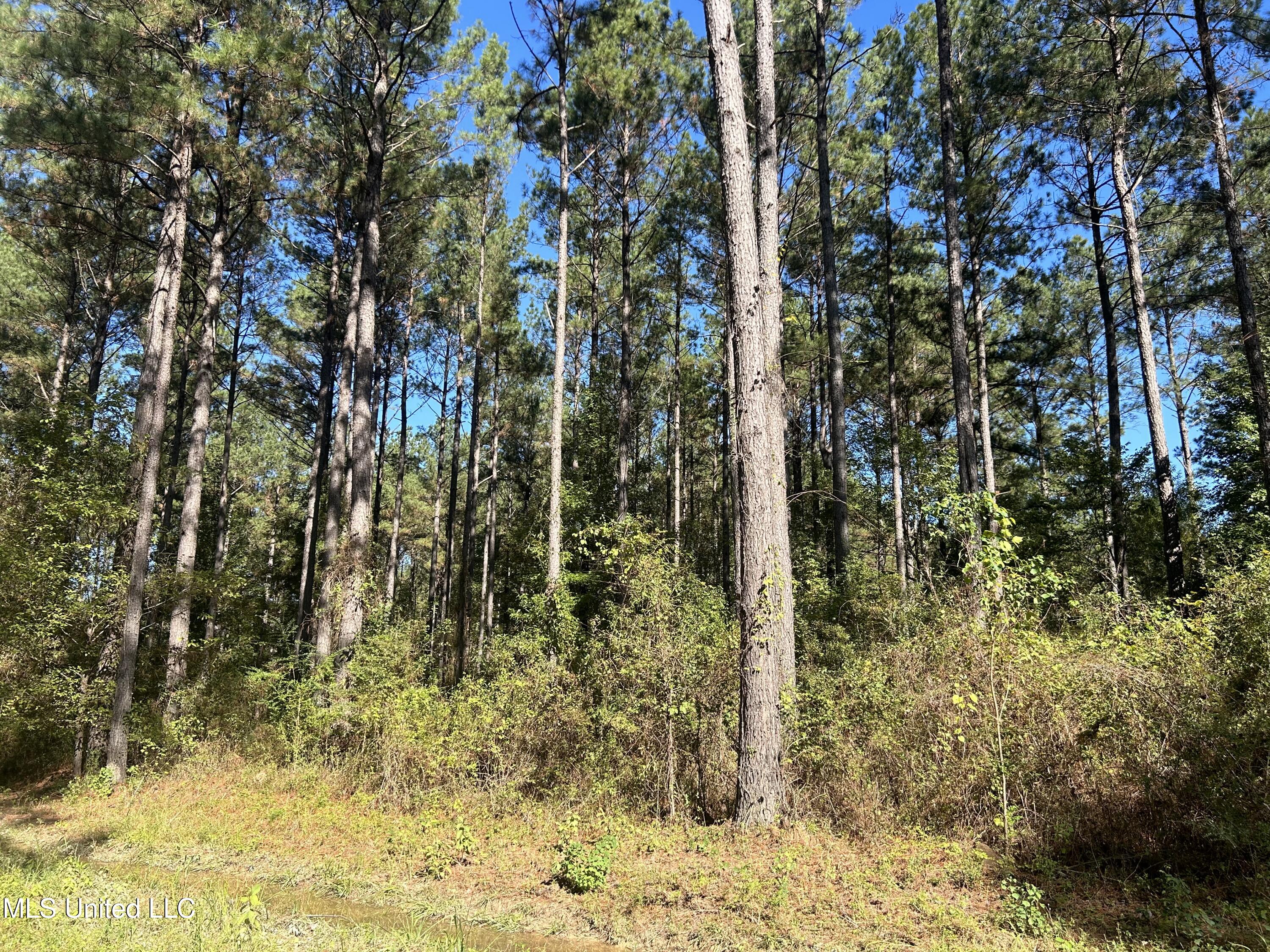 1845 Dry Fork Creek Road