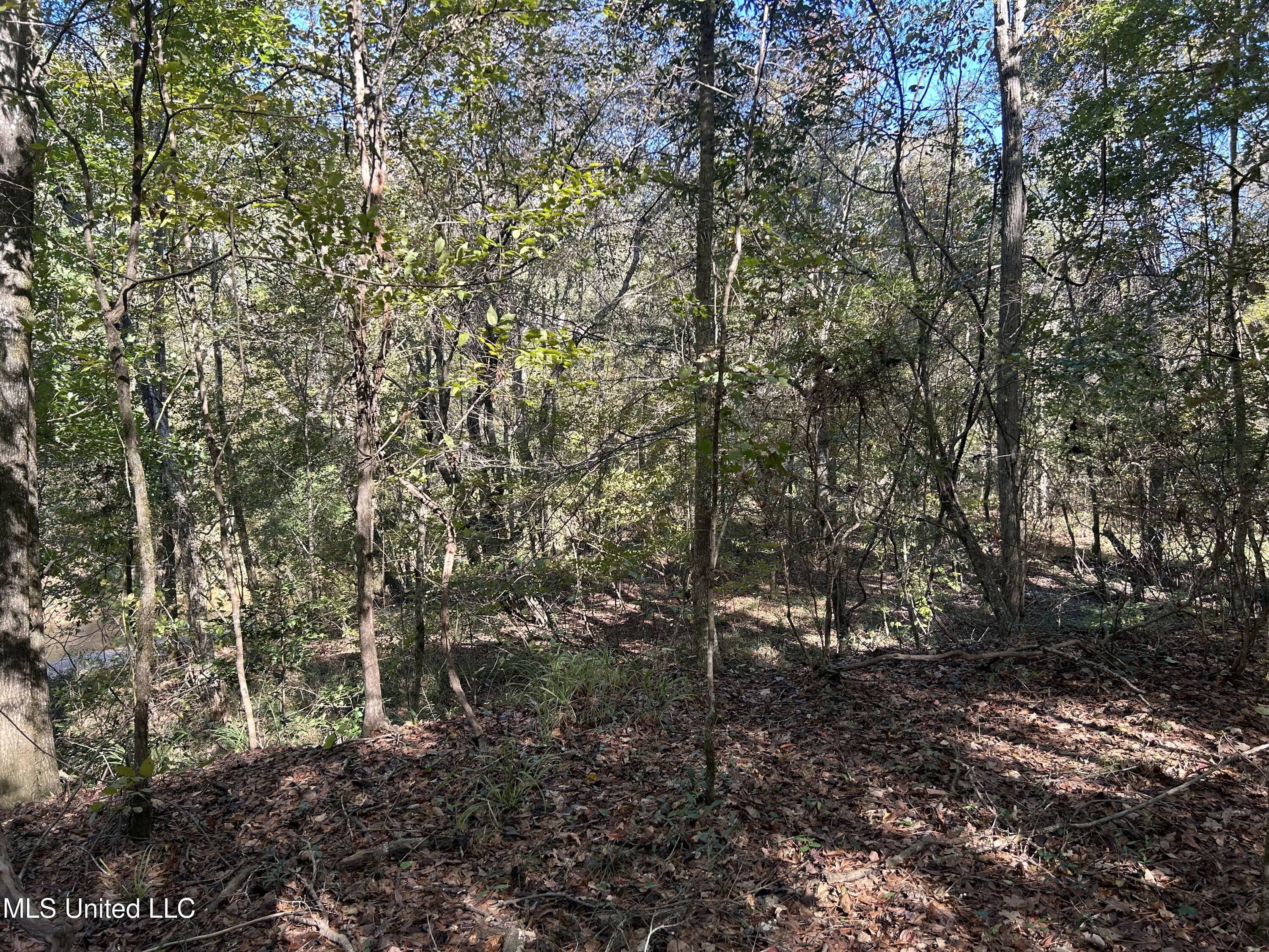 1845 Dry Fork Creek Road