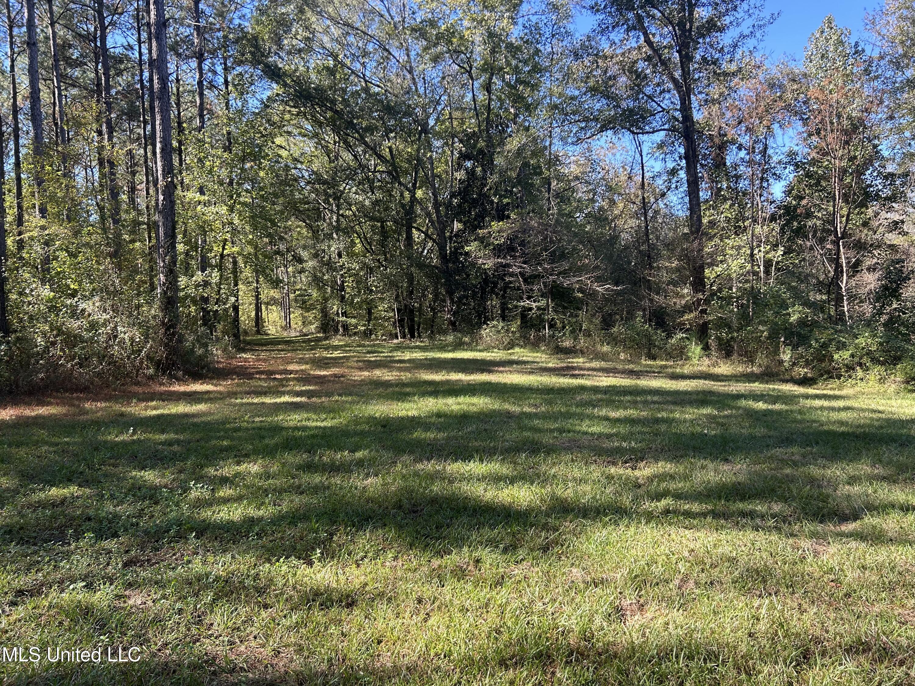 1845 Dry Fork Creek Road