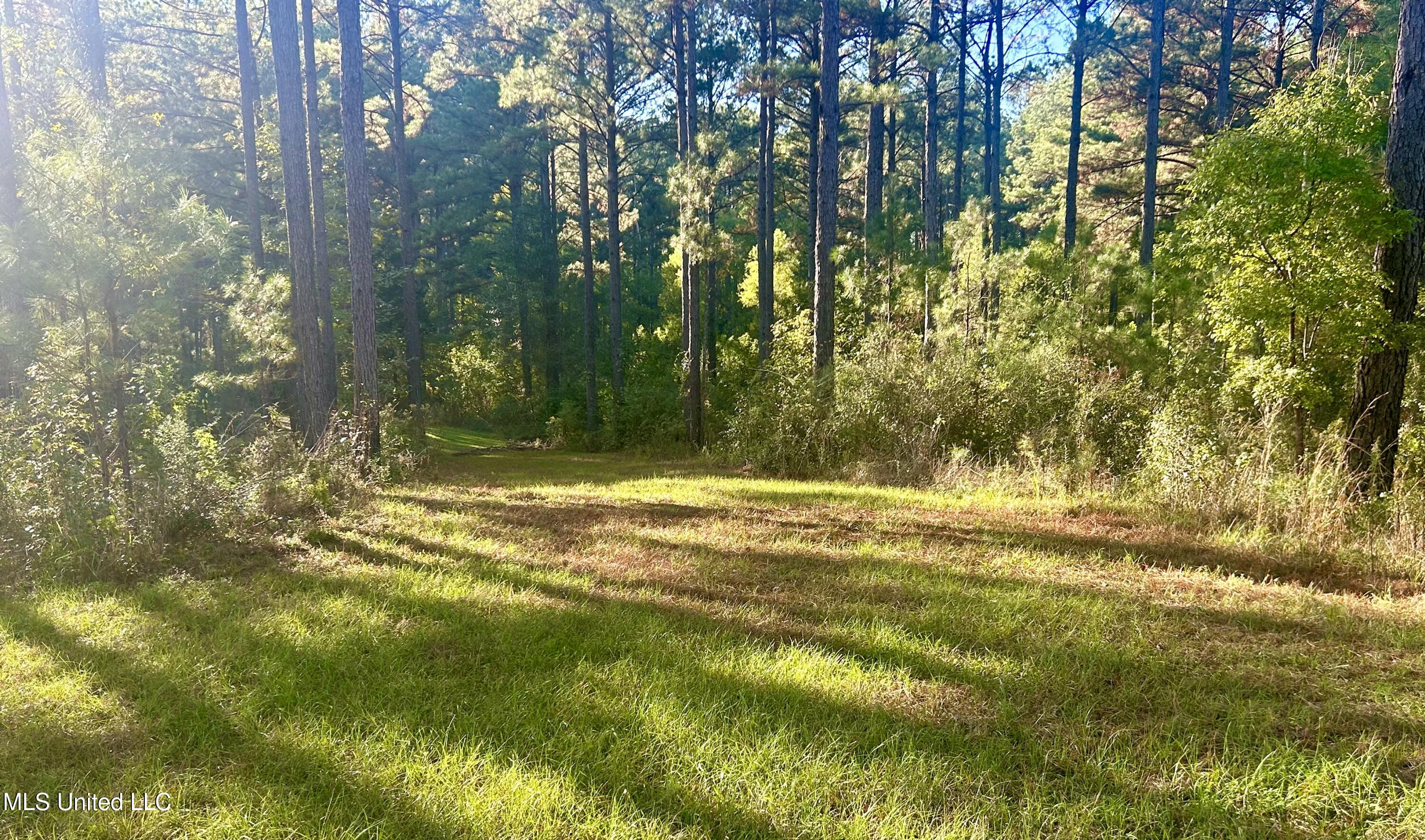 1845 Dry Fork Creek Road